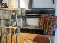 -甜心闲生传统手工冰粉(奎星楼店)