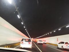-胶州湾海底隧道