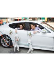 -MECCI婚礼摄影跟拍(红东方广场店)