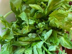 -滇菌王·野生菌山宴(宝海店)