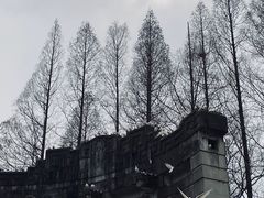 -音乐台
