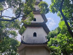 -江心屿景区