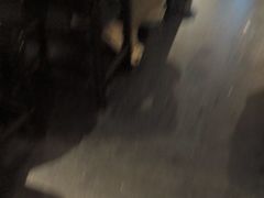 -清真·马安军辣子牛肉面