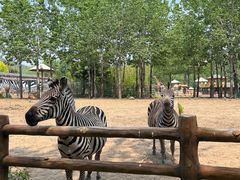 -大连森林动物园