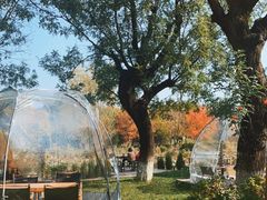 -Supine Bistro溯泮餐厅