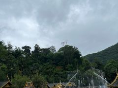 -西双版纳原始森林公园