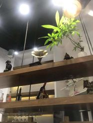 -简影造型·自选烫染接发salon