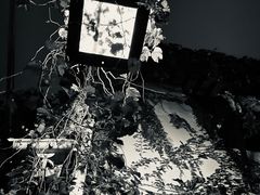 -川沙古镇-停车场