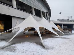 -沈阳奥体冰雪嘉年华