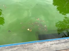 -宠乐会宠物乐园