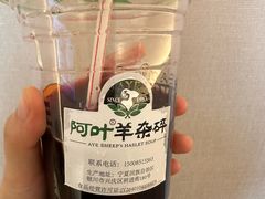 -阿叶羊杂碎(前进街店)