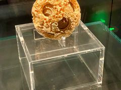 -广西壮族自治区博物馆