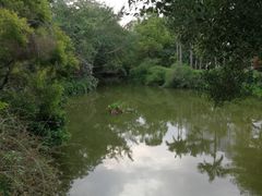 -人民公园(罗湖区)