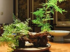 -31号公馆(黄兴广场白果园店)