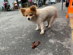-姐妹面馆(水澄路店)