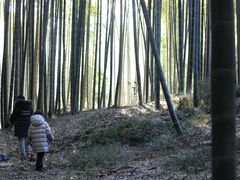 -宝岩生态观光园