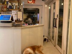 -餐酒吧Com-ing Bar(上海路店)