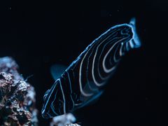 -欢乐海岸海洋奇梦馆