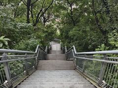 -佛山华盖山公园