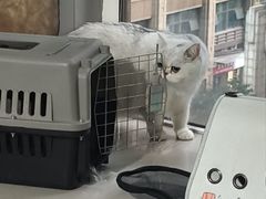 -联合动物医院(光谷诊疗中心)