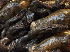 -老字号周记古蔺麻辣鸡·非物质文化遗产传承店