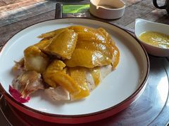 -食德喜·阳山鸡王食研基地