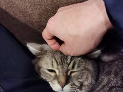 -天使咖啡(兴新街店)