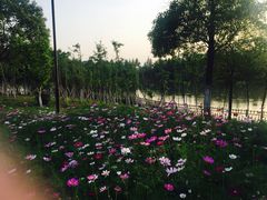 -艾溪湖湿地公园