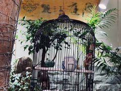 -丽江庭院之丽江往事(安定门店)