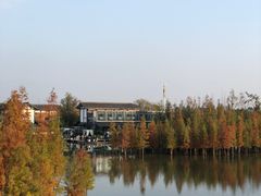 -白鹭湾湿地公园