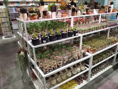 -KKV(深圳宏发大仟里店)