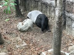 -清迈夜间动物园
