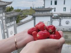 -西昌邛海宾馆
