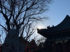 -听鹂馆饭庄(颐和园店)