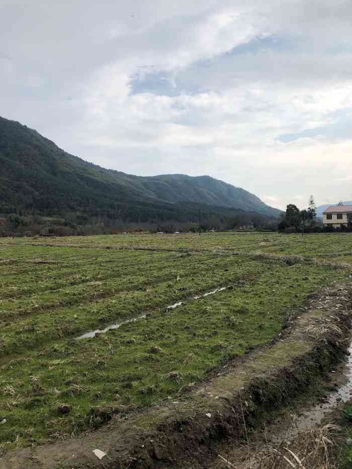 三爪仑乡综合文化站-"避暑归途的路上 路过三爪仑乡镇府 这附.