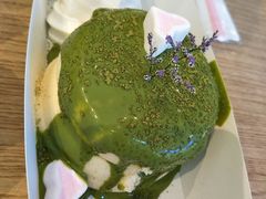 -狐狸和向日葵(北京路店)