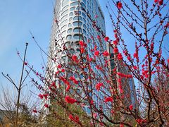 -中央广播电视总台(光华路办公区)