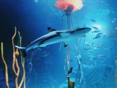 -沈阳海洋探索中心