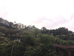 -鲤鱼塘农家山庄