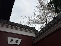 -长春观