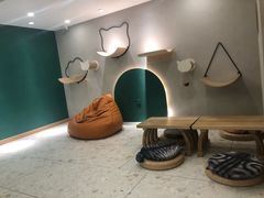 -飞行喵MR PILOT|猫舍·猫咖(静安大融城店)