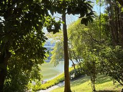 -深圳国际园林花卉博览园