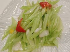 -丁老爷子苏香圆