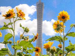 -海心沙亚运公园