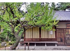 景点-名古屋城