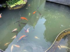 -桃园盛宴·岭南粤菜·手工茶点(南庄店)