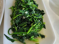 -云中小雅