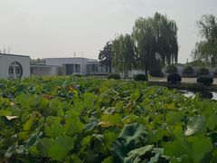 -费孝通江村纪念馆