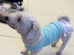 -怪兽屋·羊驼·猫咖·狗咖(俊华广场店)