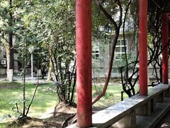 -陕西师范大学(雁塔校区)